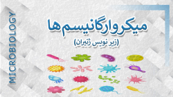 میکروارگانیسم ها با زیر نویس ف...