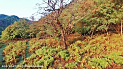 میکس آذری مشدی عباد با صدای رح...