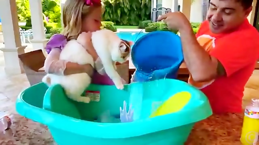 استیسی و پدر ، بچه گربه او را...