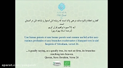 ?How to prepare a tisane