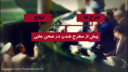 نمایندگان در مجلس چه کارهایی ا...