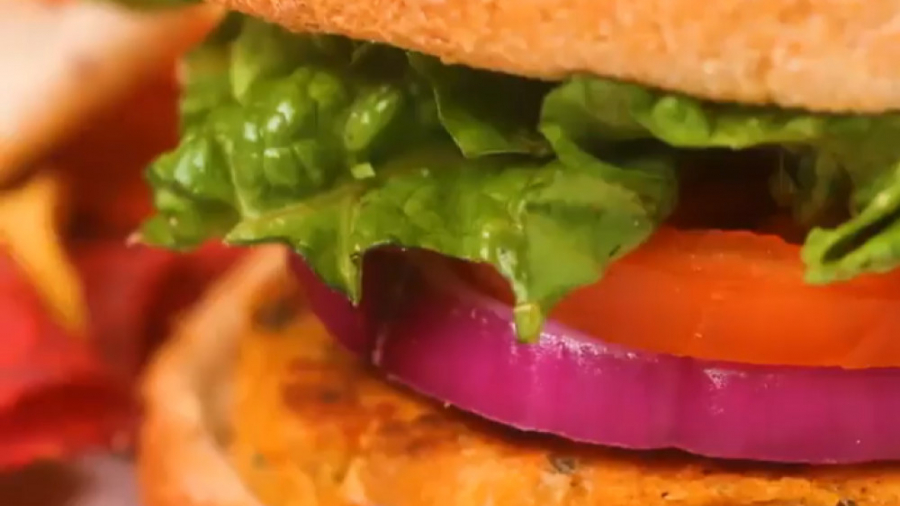 آشپزی سالم - برگر تن ماهی - کلینیک لاغری سیبیتا