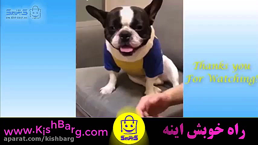 پوستر بزرگ