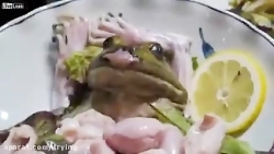 ویروس کرونا در چشمان مظلوم این...