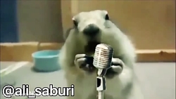 کلیپ طنز و خنده دار علی صبوری...