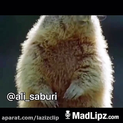 کلیپ طنز و خنده دار علی صبوری...