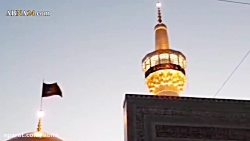 حرم مطهر رضوی در سوگ شهادت حضر...