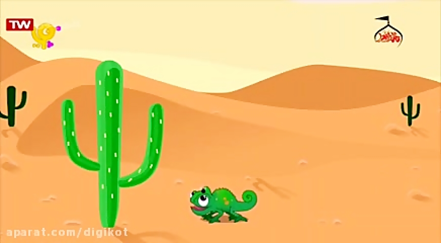 images of desert cactus flower images of desert cactus flower