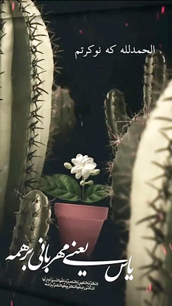 ایام فاطمیه