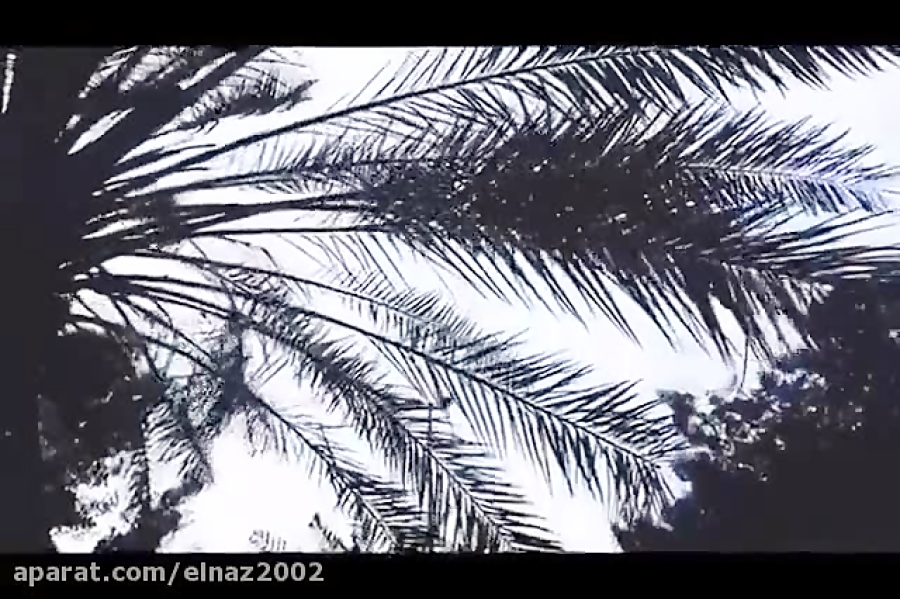 تور جزیره کیش