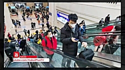 همه چه درمورد ویروس کرونا