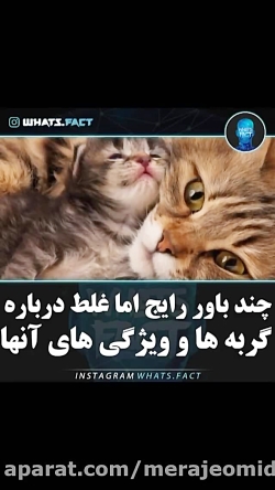 چند باور رایج اما غلط راجب گرب...