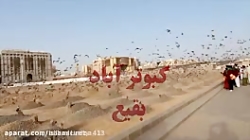 سینه زنی شور شهادت حضرت زهراسل...