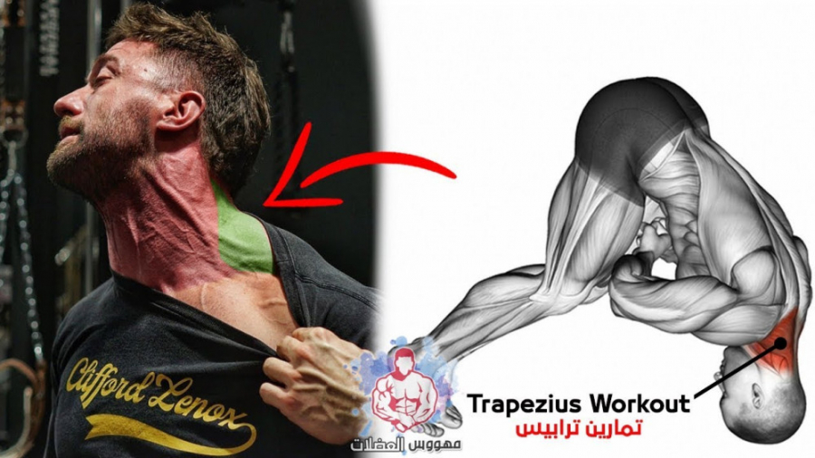 تصویر از تمرین بدنسازی مخصوص عضلات گردن