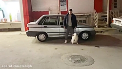 ویروس کرونا در ایران وجود ندار...