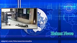 آیا کرونا ویروس، یک ویروس آخرا...