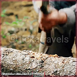 تیکا، سامانه جامع گردشگری