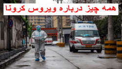 ویروس کرونا چیست؟! l همه چیز د...