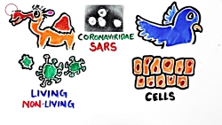 اگر به ویروس کرونا مبتلا شوید...