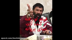 سکانس لورفته و جنجالی امیر آقا...