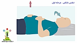 آموزش تنفس شکمی &ndash; مرحله...