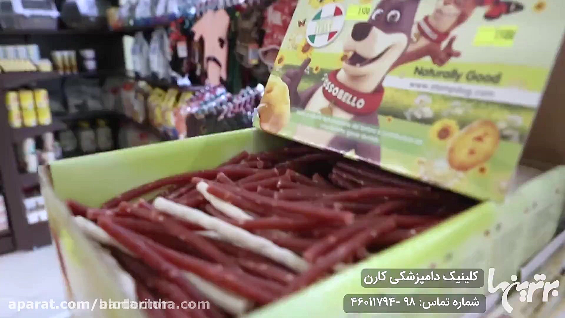 الو دکتر- کلینیک دامپزشکی کارن کاشت مو