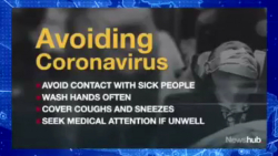 منشا باورنکردنی ویروس کورونا و...