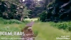 موجودی شبیه آدم فضایی ها..؟موج...