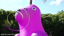 بازی دیانا و روما... آب بازی ک...