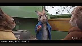 تریلر انیمیشن پیتر خرگوشه Peter Rabbit 2 : The Runaway زمان157ثانیه