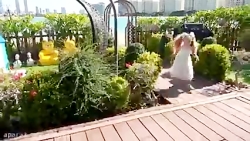 دیانا و روما | دیانا و روما از...