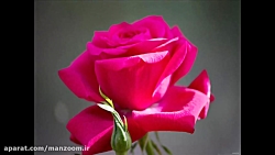 میکس 10 آهنگ عاشقانه از زیباتر...