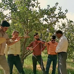 قشقایی هوشنگ طاهری دره شوری