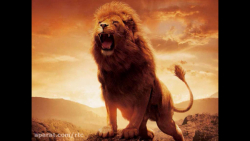 شیر، سلطان جنگل...