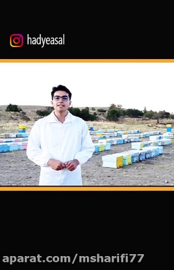تاریخ انقضا عسل طبیعی چقدره؟
