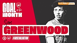 گلهای برتر آرسنال در ماه ژانوی...