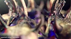 نمونه موشن گرافیک سه بعدی با س...