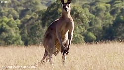اشنایی با بهترین و عجیب ترین ح...