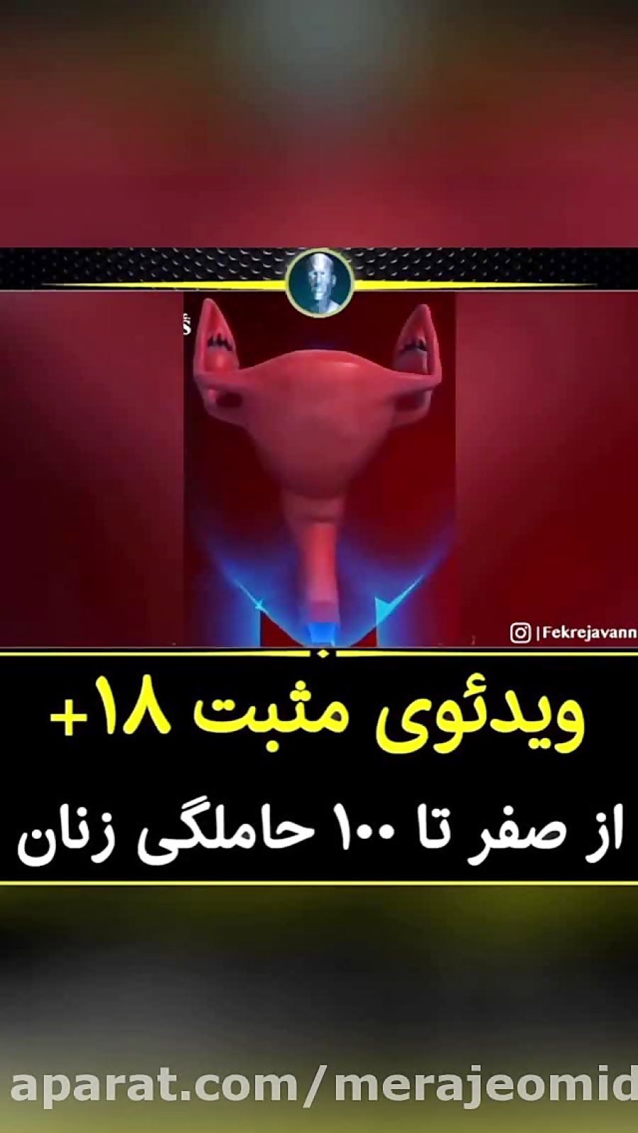 از صفر تا صد بارداری انیمبشن مناسب برای بالای 18 سال