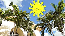 بازی دیانا و روما /چالش های جد...