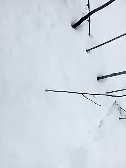 بارش برف در گیلان