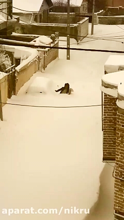 اینجا خلخال است/ خودروها در بر...