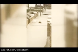 ویدئویی شگفت انگیز از شدت بارش...