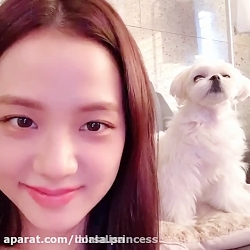 آپدیت اینستاگرام جیسو بلک پینک...