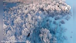 نمایی آرامش بخش از طبیعت بکر د...