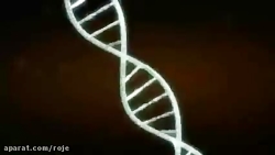 انیمیشن جذاب لاروها