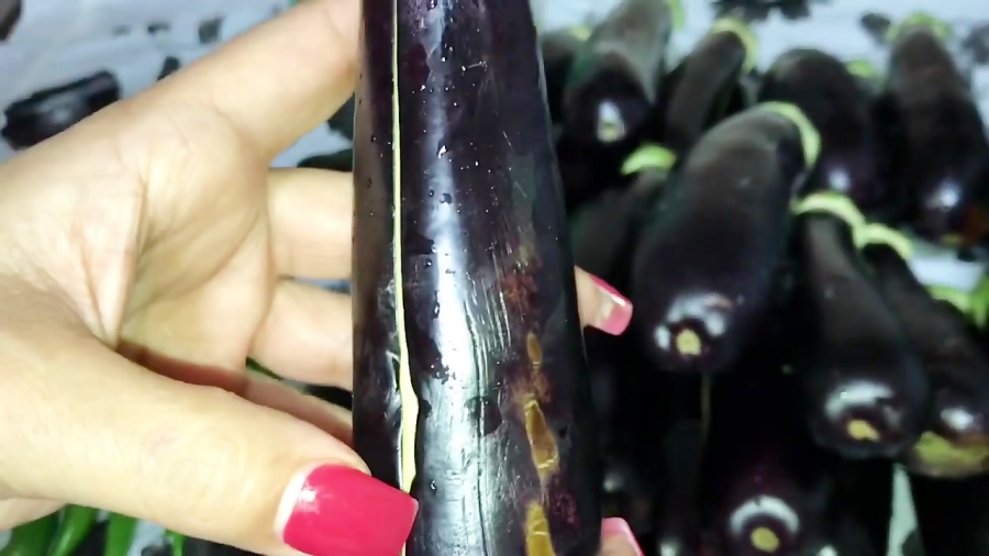 طرز تهيه ترشي بادمجان شكم پر همراه با خاله سيما