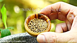 آشپزی در طبیعت  آشپزی های شگف...