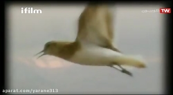 سریال طنز خانه به دوش قسمت 11