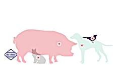 آشنایی با ویروس کرونا و راه پی...